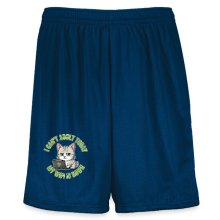 <p>Youth Modified Mesh Shorts with Disgruntled Tabby Cat &amp; Wi-Fi Laptop Design</p>
